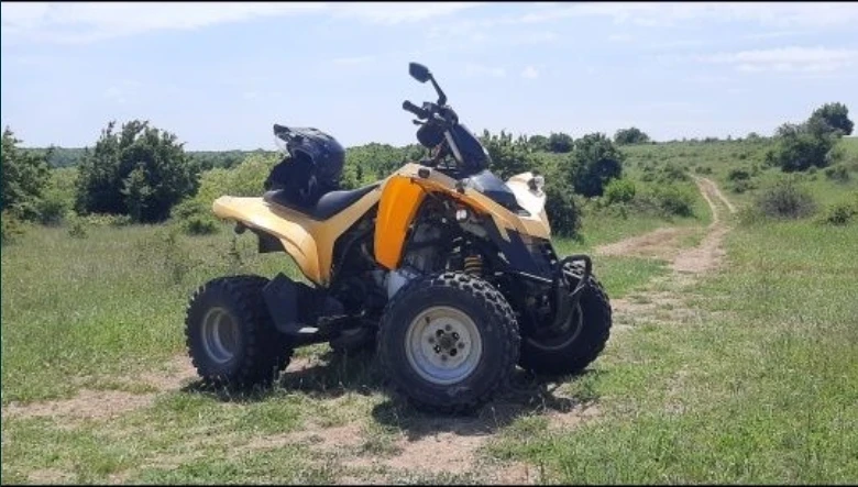 Can-Am DS 250, снимка 1 - Мотоциклети и мототехника - 49540912