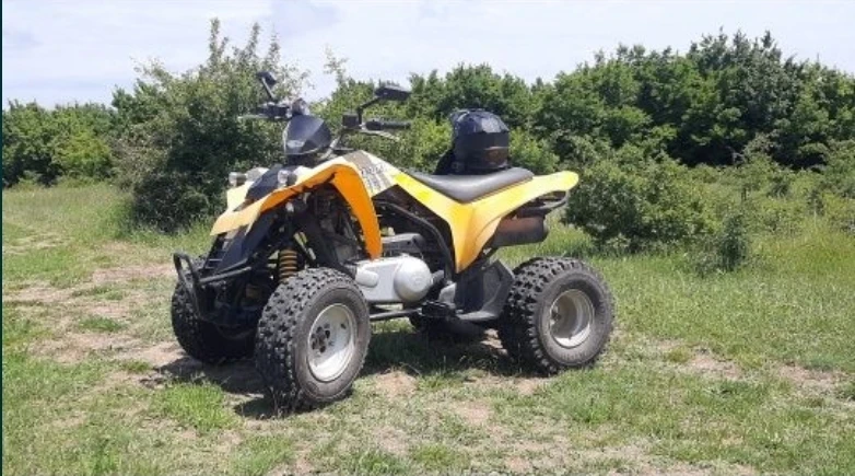 Can-Am DS 250, снимка 2 - Мотоциклети и мототехника - 49540912