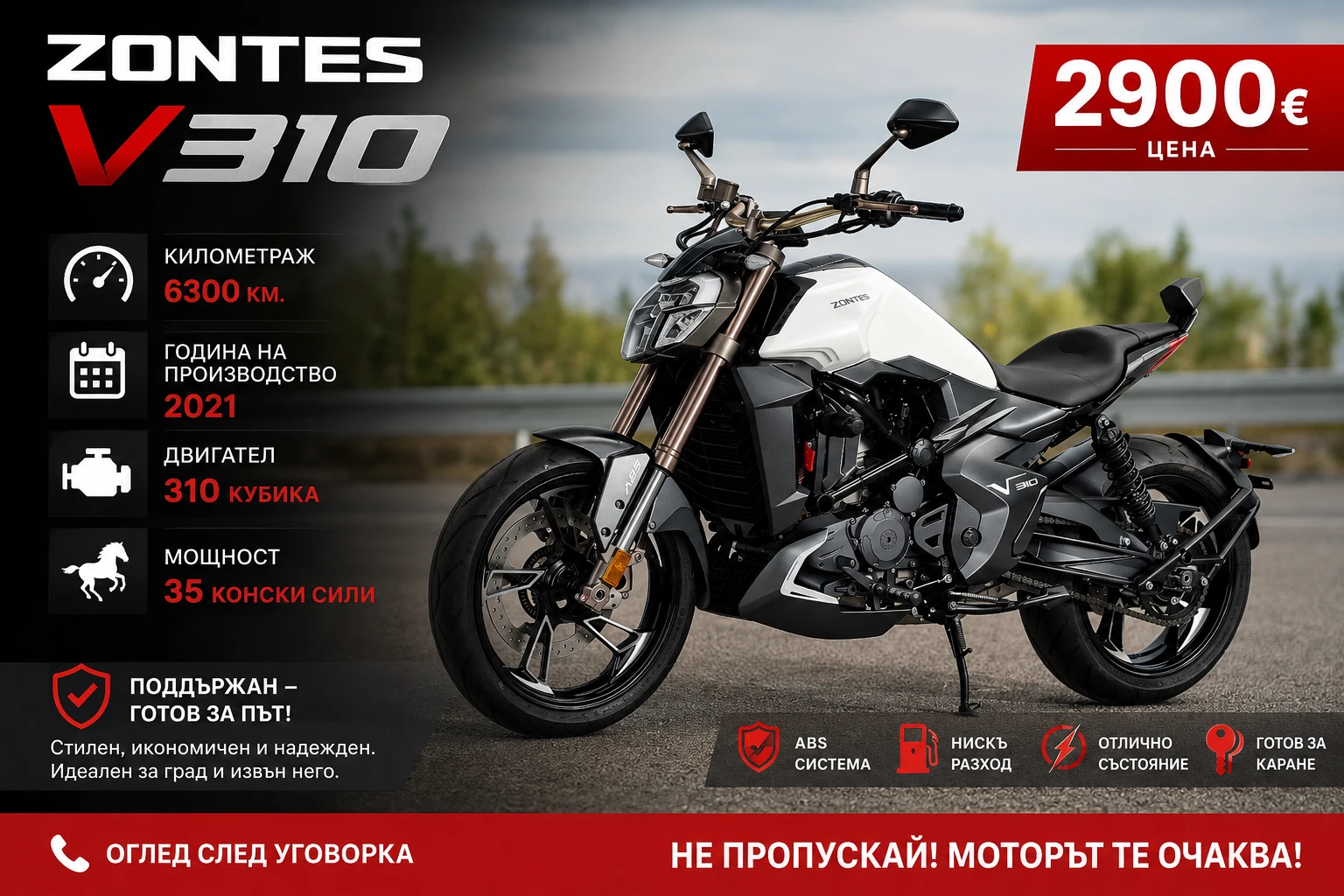 Zontes Zontes 310v