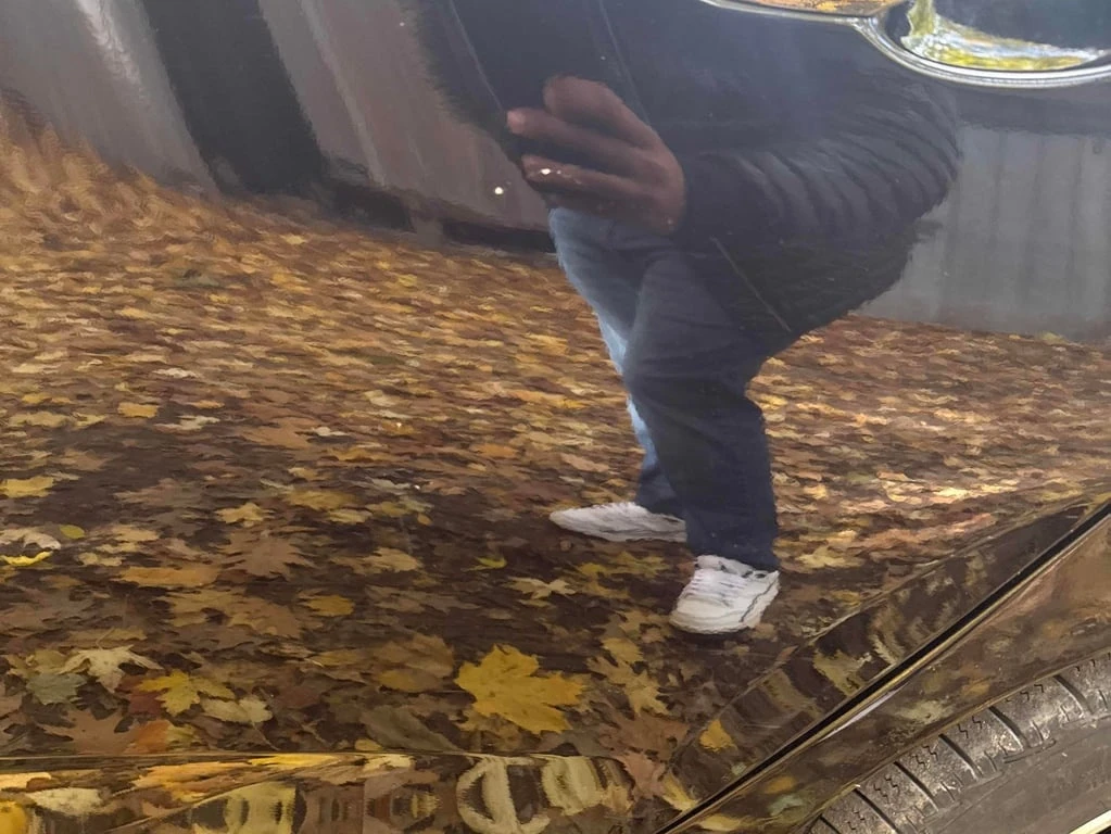 Honda Civic * Touring * CARFAX *    | Mobile.bg   14