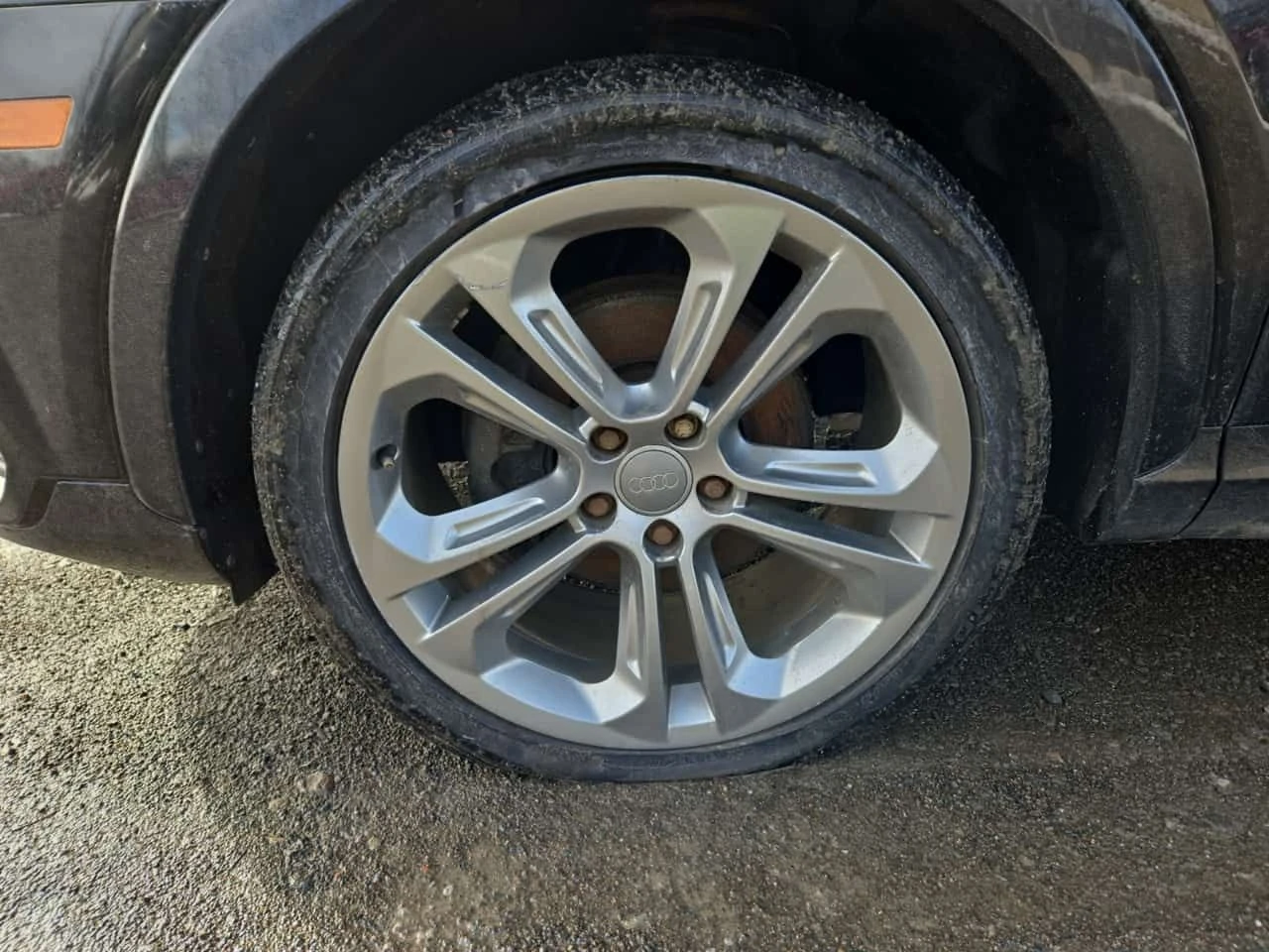 Audi Q3  PROGRESSIV| PANORAMA| 2 КЛЮЧА| CARFAX| , снимка 6 - Автомобили и джипове - 54085036