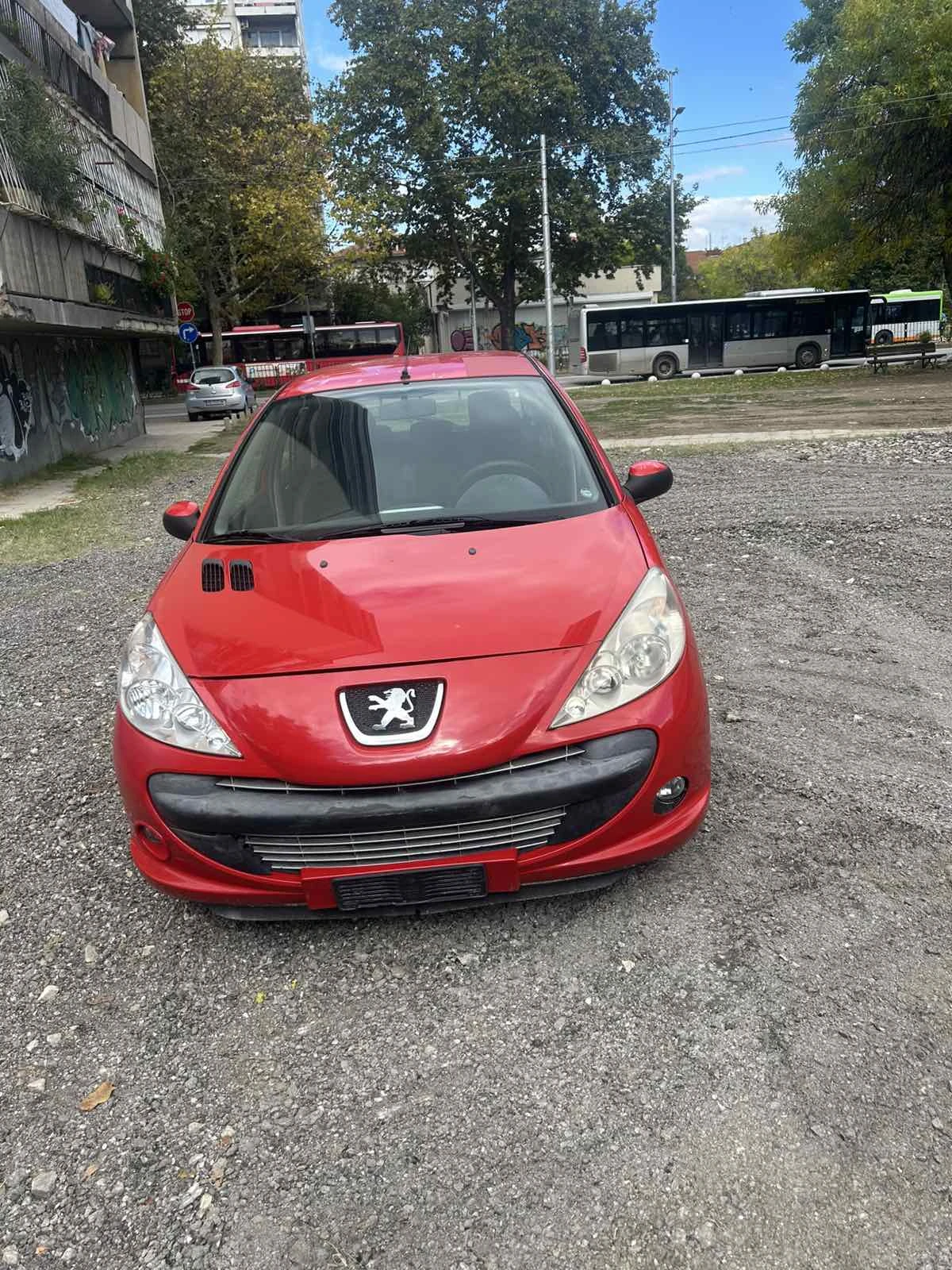 Peugeot 206 PLUS-0893697878 1.4HDI 68hp Clima-face-MILANO, снимка 1