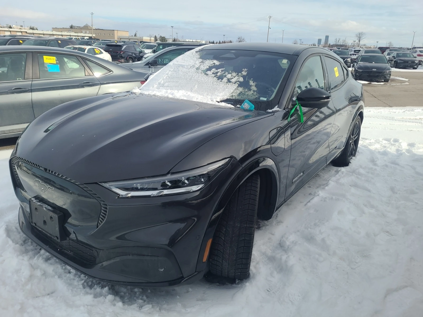Ford Mustang Mach-E CALIFORNIA ROUTE 1