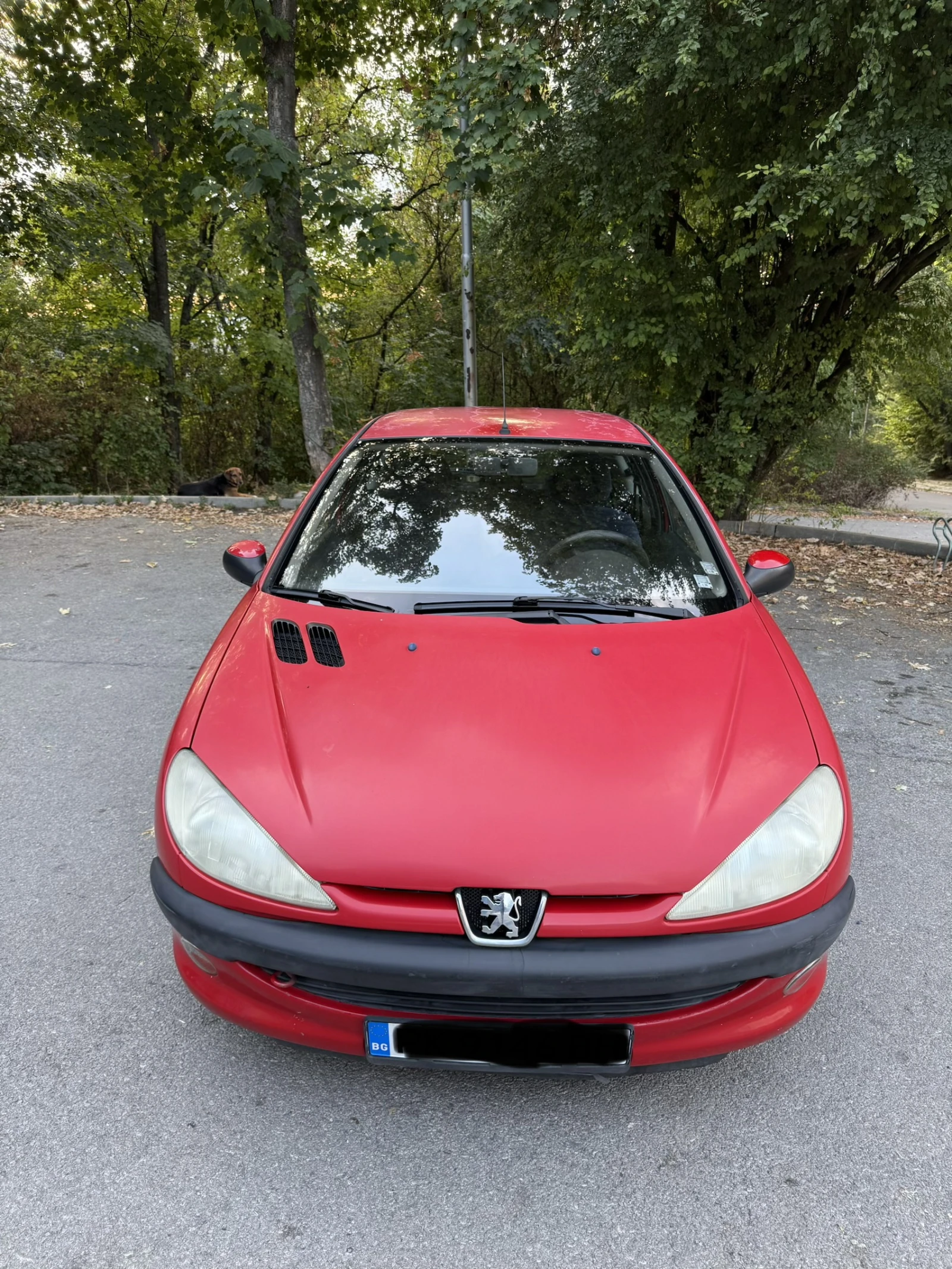 Peugeot 206 1.1, снимка 5 - Автомобили и джипове - 56287991