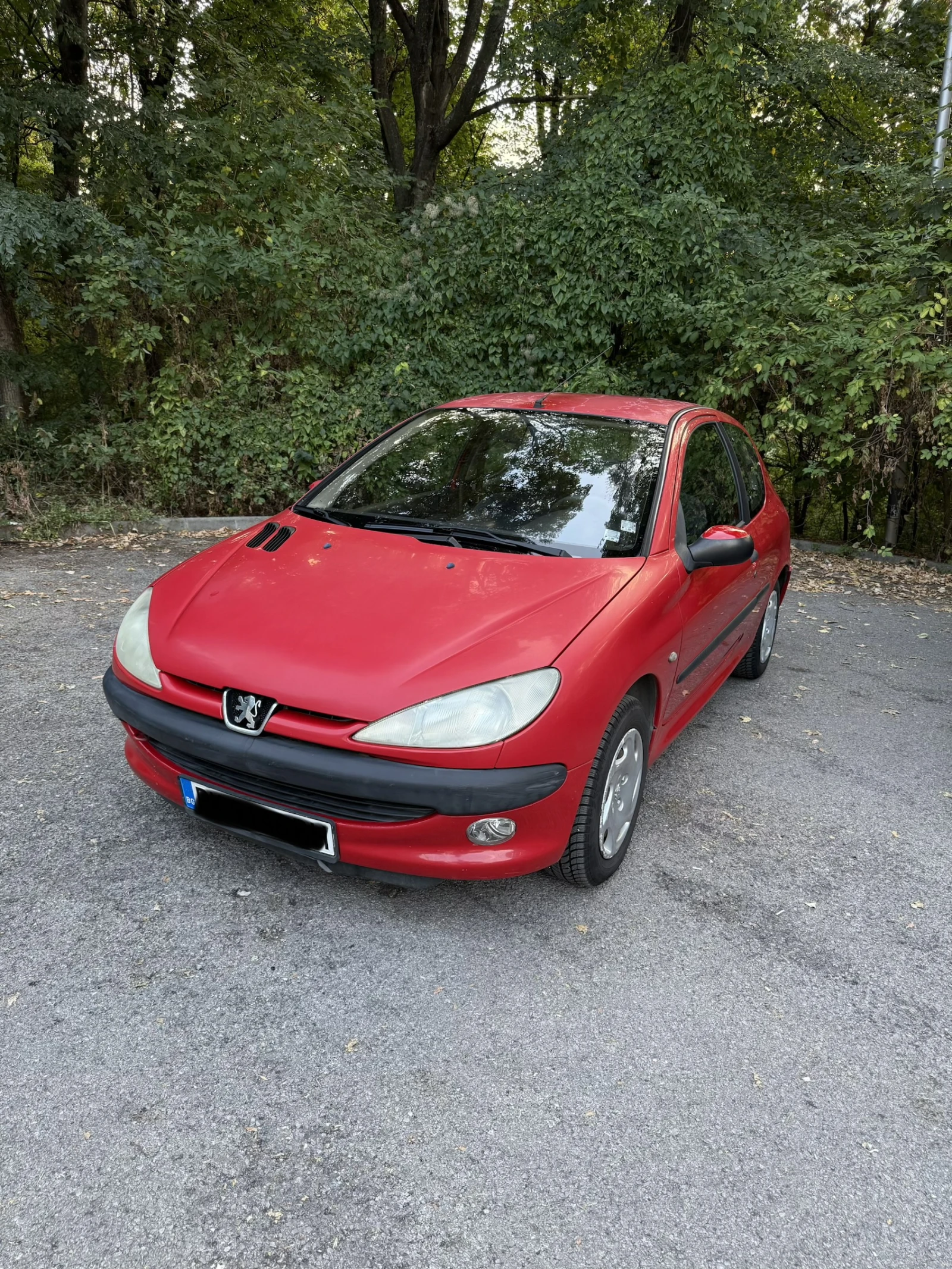 Peugeot 206 1.1