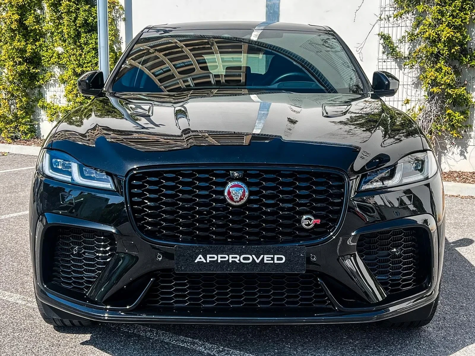 Jaguar F-PACE SVR | Mobile.bg � ����������� 1