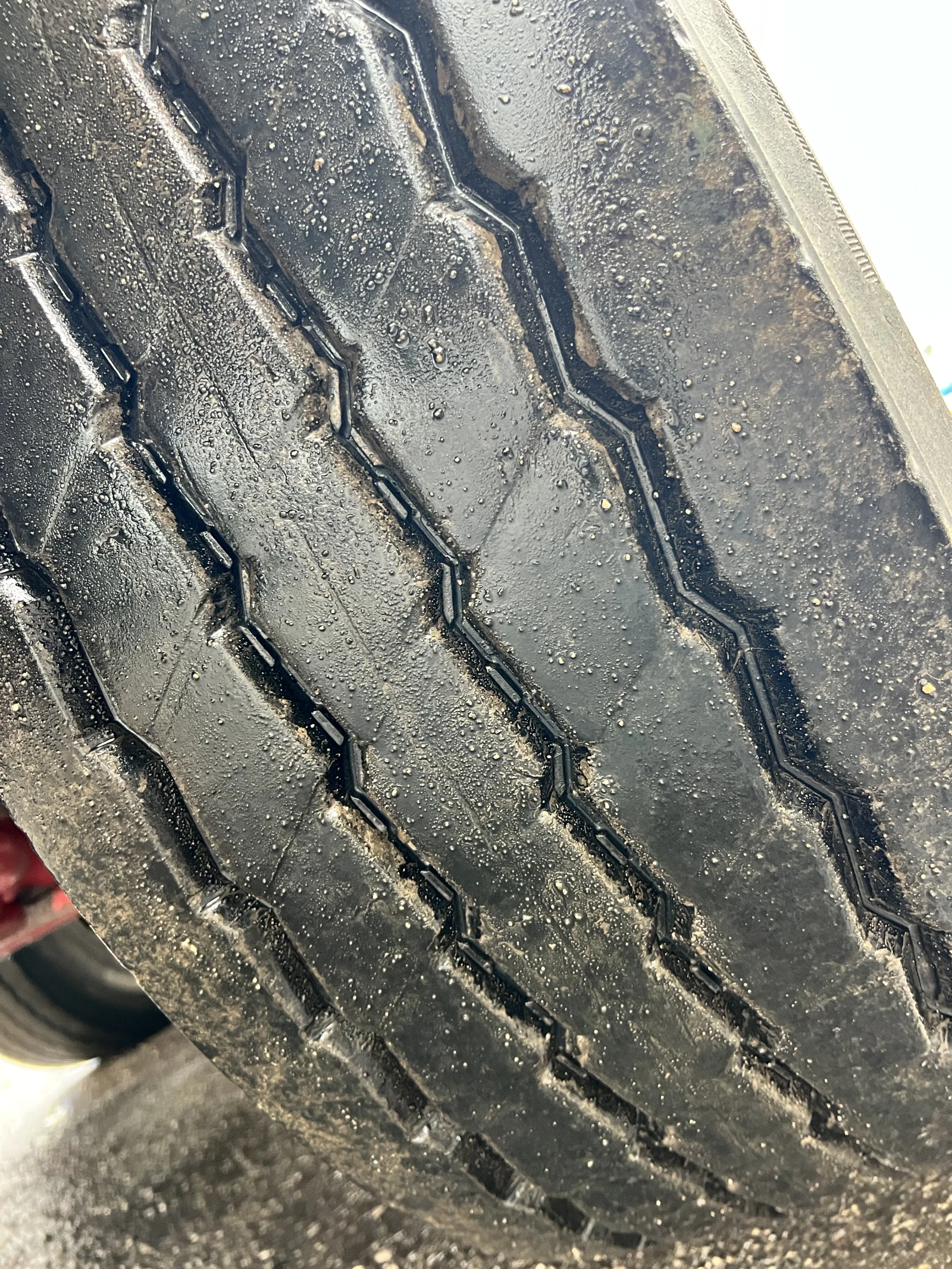 Man Tgs 8x4, , , , ,  | Mobile.bg   12