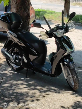  Honda Sh