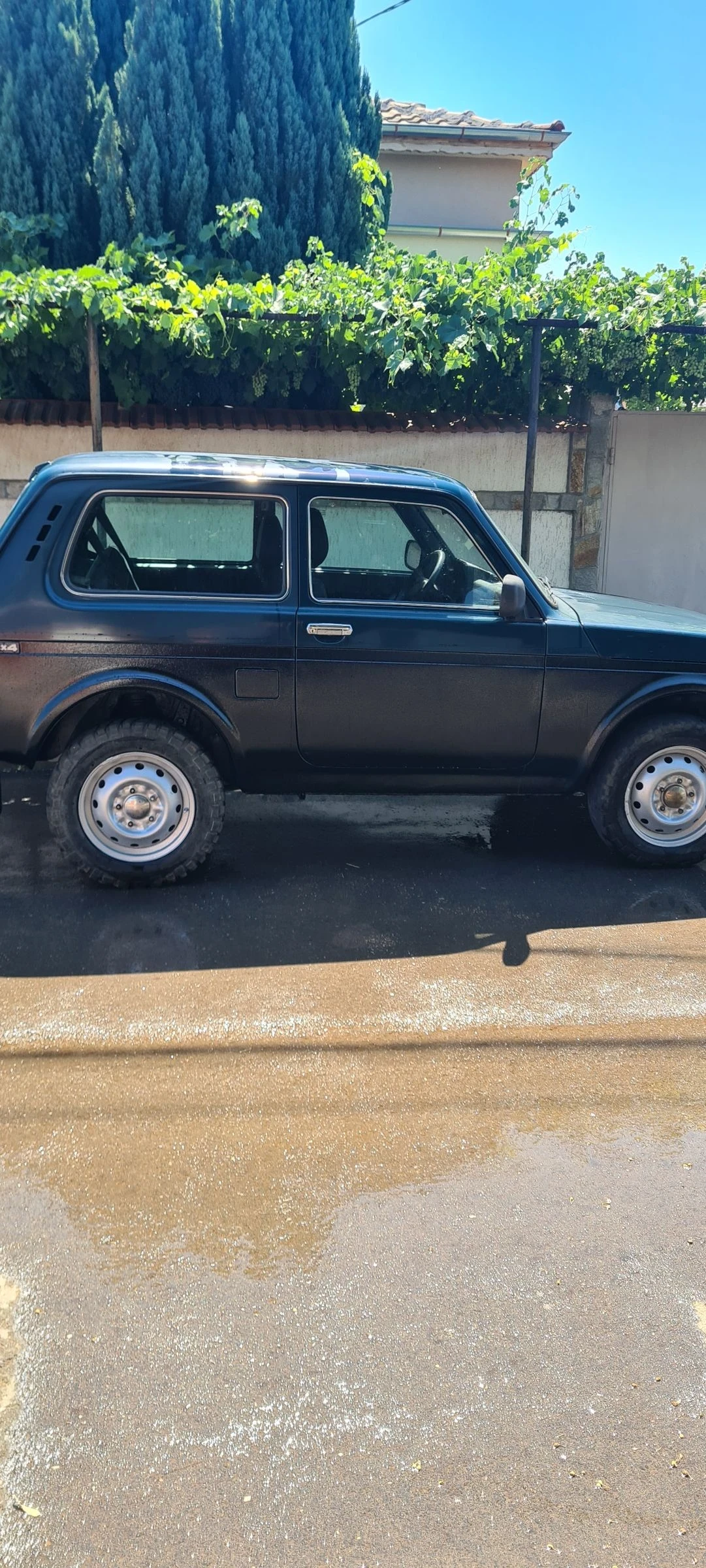Lada Niva 1.7i | Mobile.bg � ����������� 10