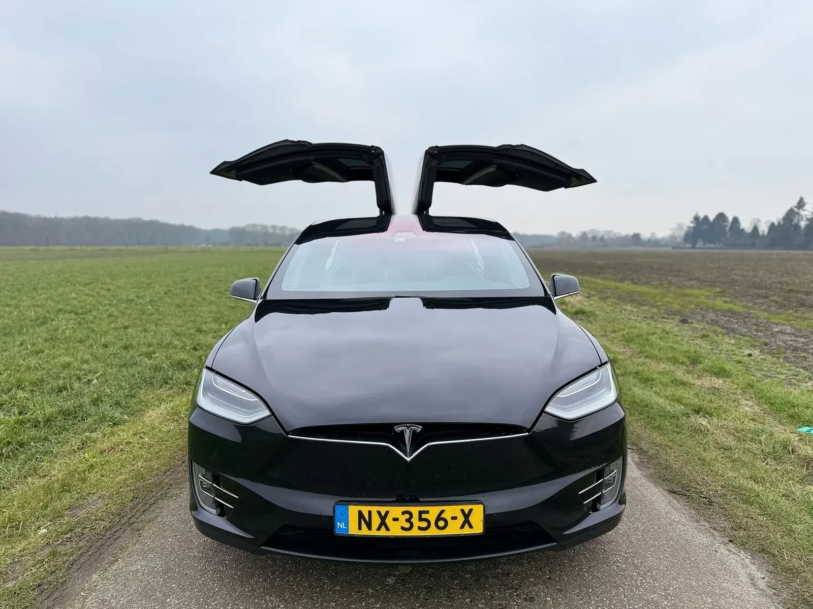 Tesla Model X 90D - изображение 3