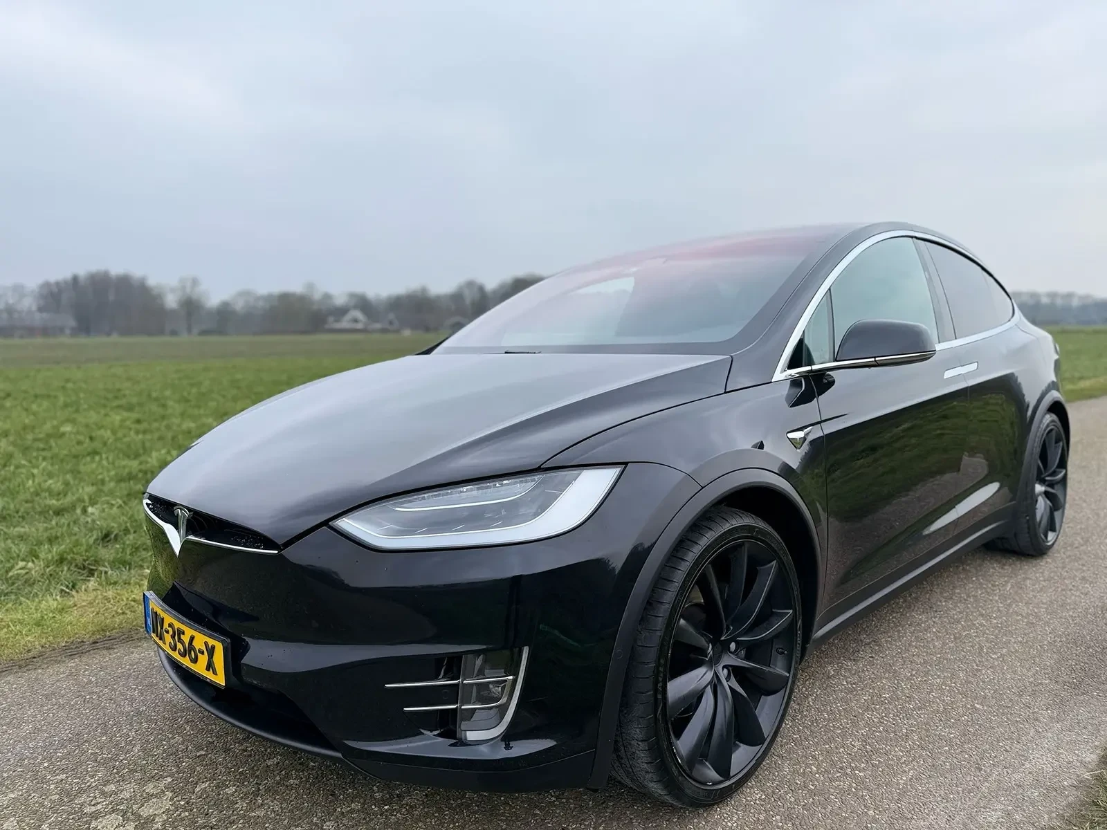 Tesla Model X 90D - изображение 2