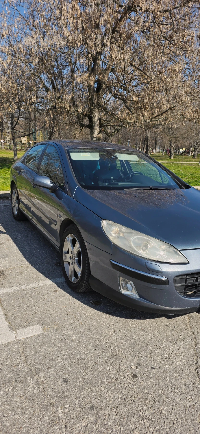 Peugeot 407, снимка 2 - Автомобили и джипове - 53767839
