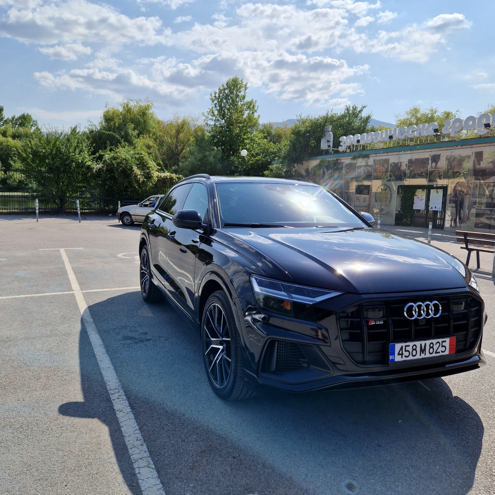 Audi SQ8  - изображение 1