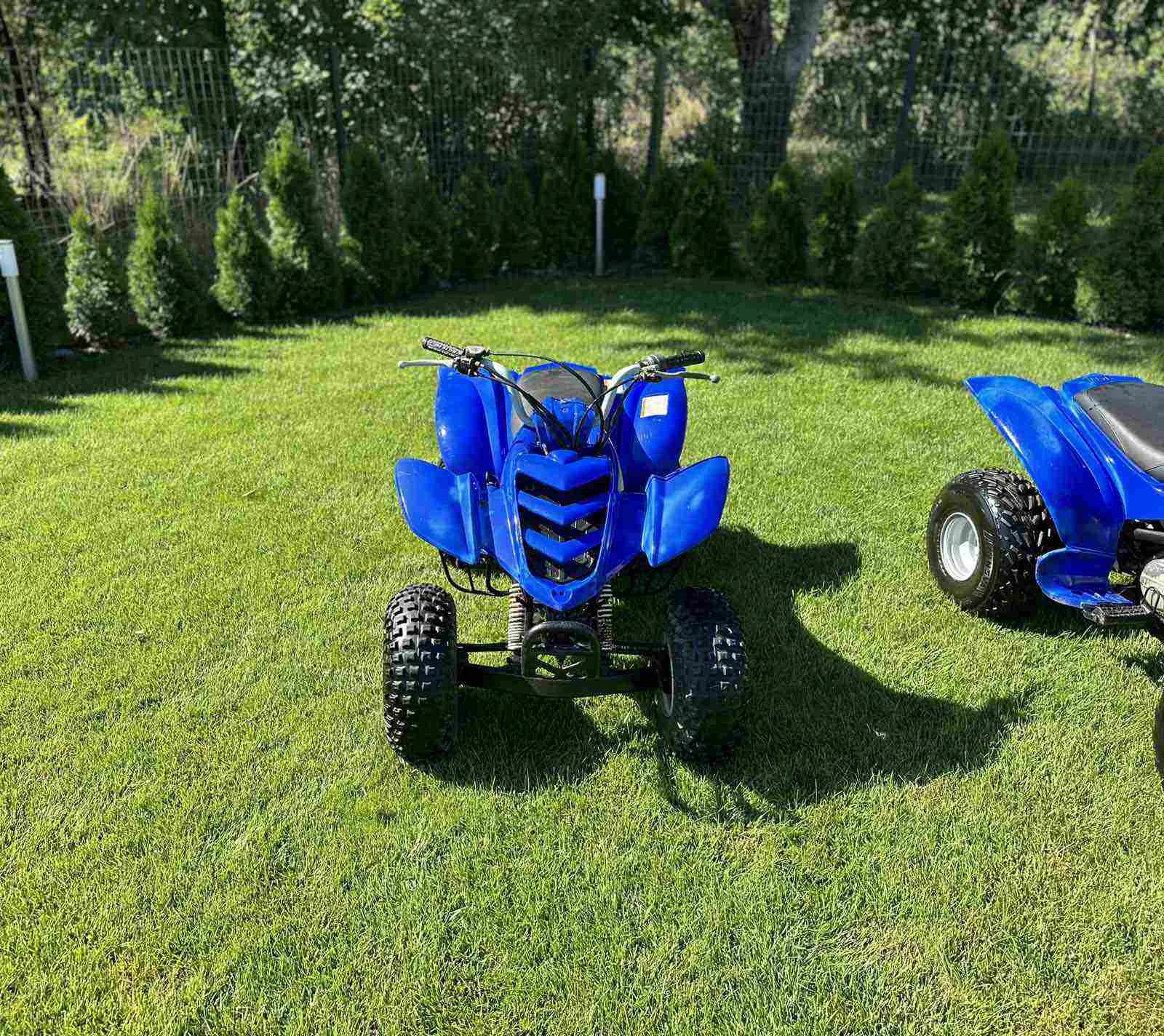 Yamaha Yfm | Mobile.bg � ����������� 5