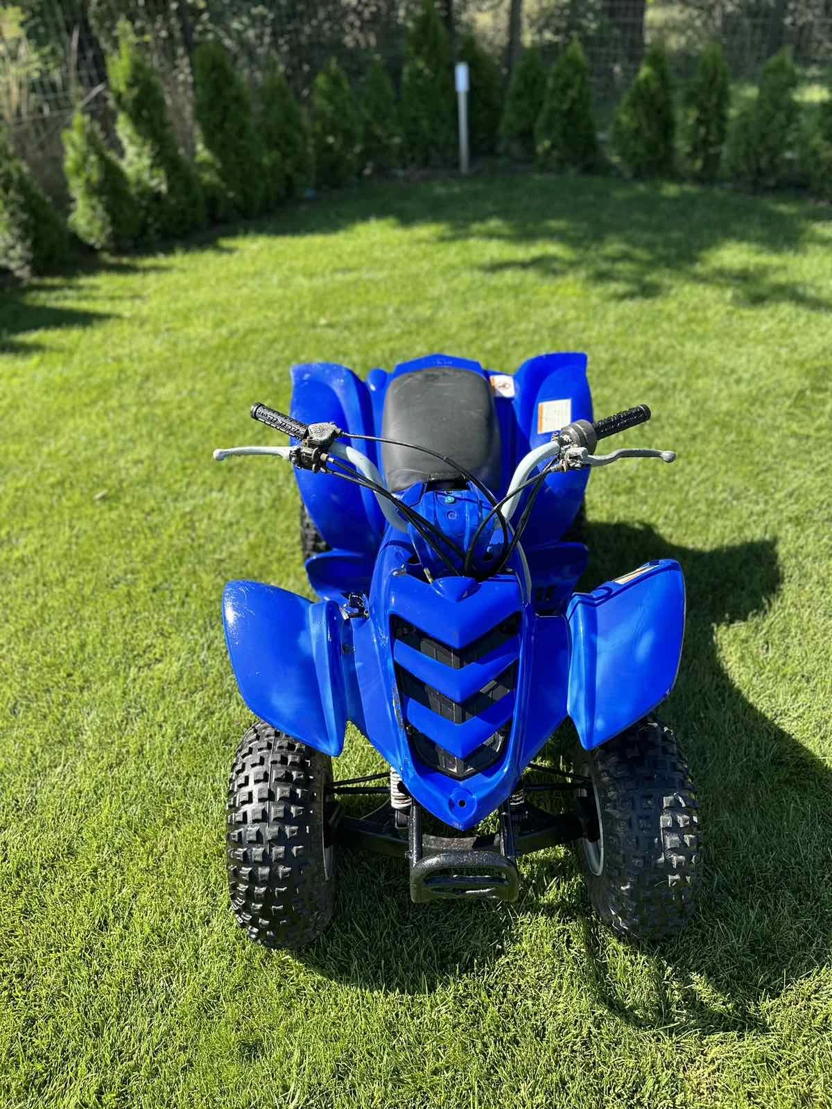 Yamaha Yfm | Mobile.bg � ����������� 4