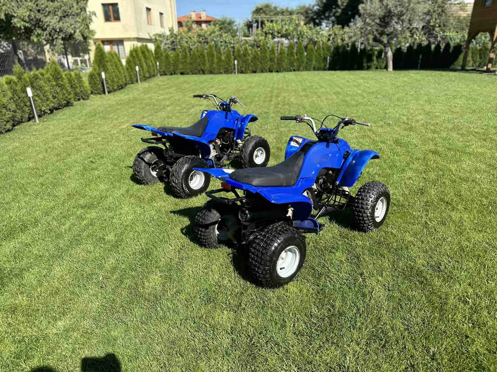 Yamaha Yfm | Mobile.bg � ����������� 3