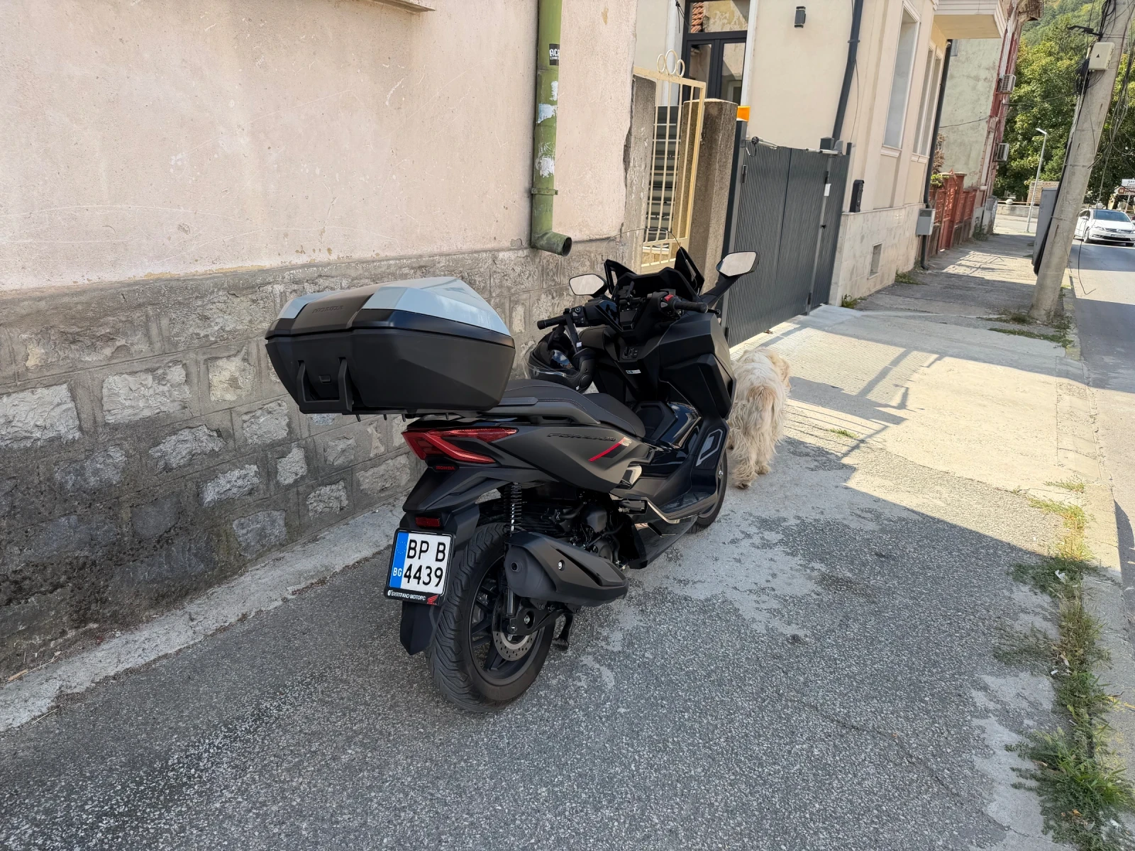 Honda Forza Edition ����������� | Mobile.bg � ����������� 2