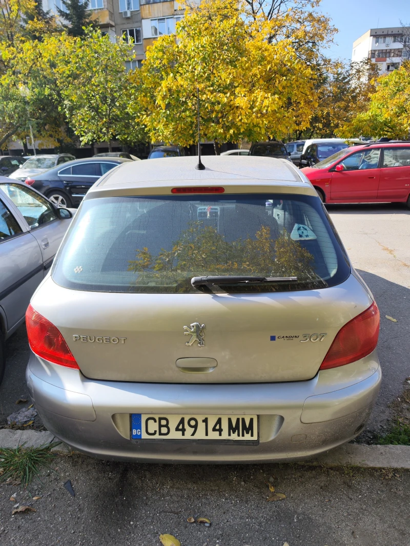 Peugeot 307, снимка 5 - Автомобили и джипове - 47880378