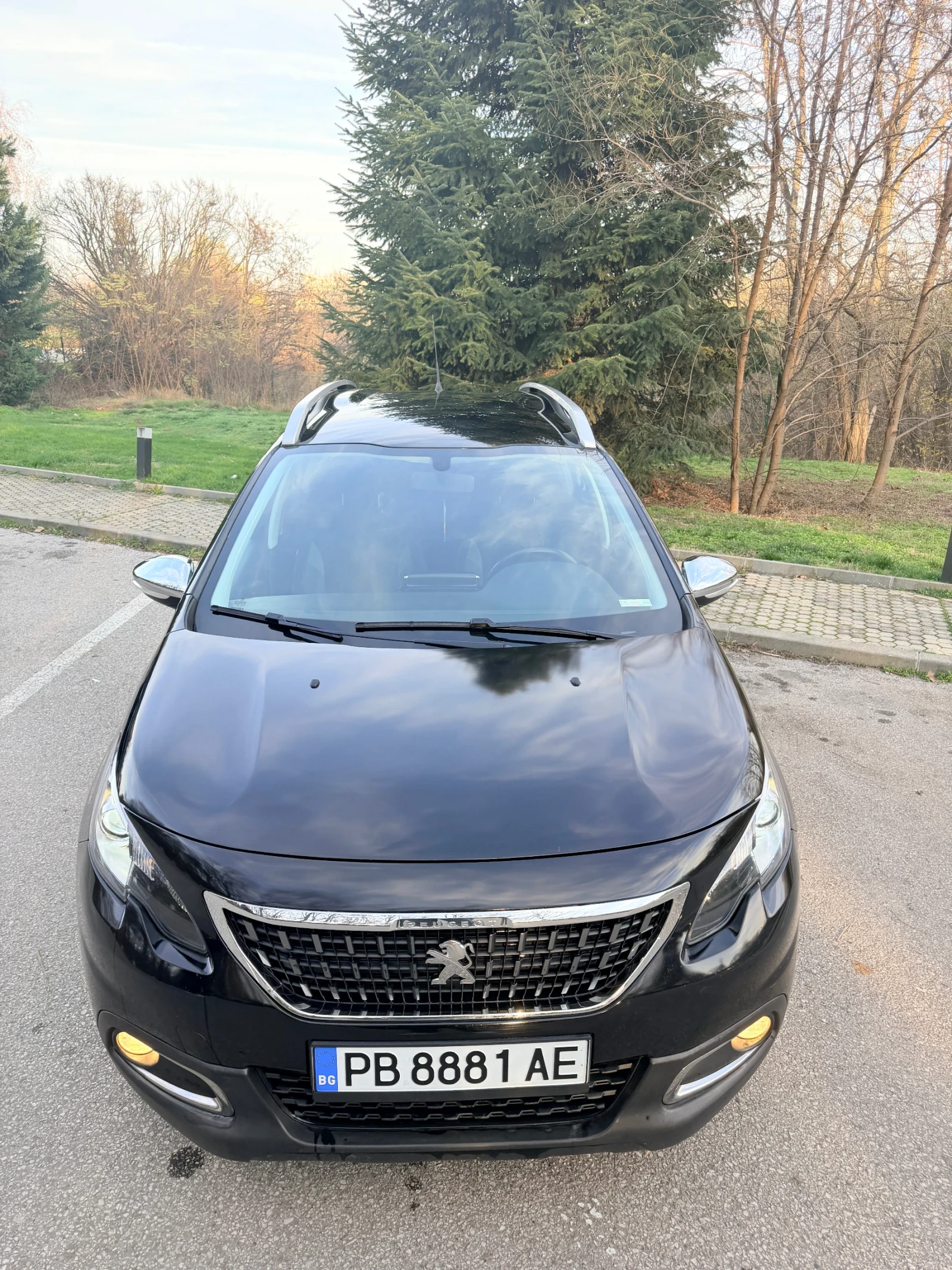 Peugeot 2008, снимка 1