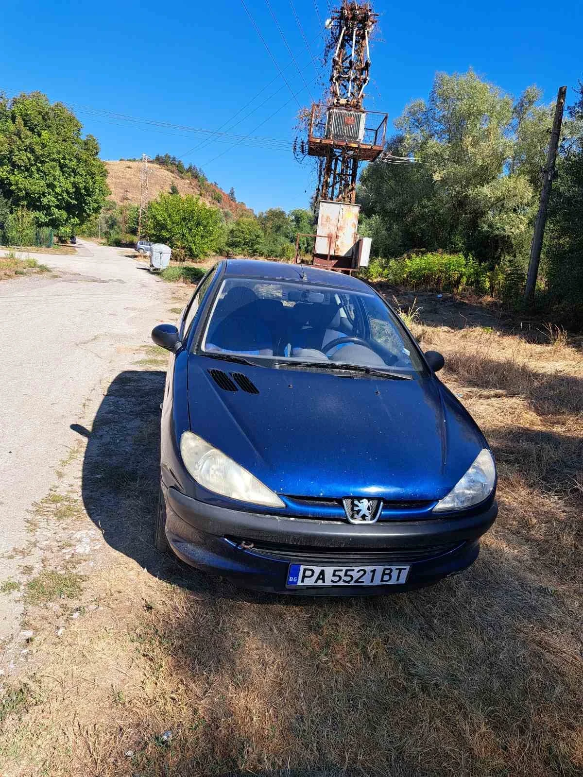 Peugeot 206, снимка 2 - Автомобили и джипове - 56206412