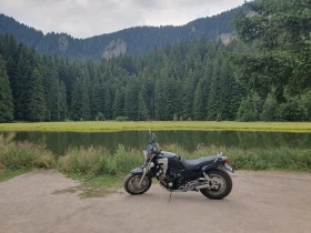 Yamaha Fzx, снимка 2