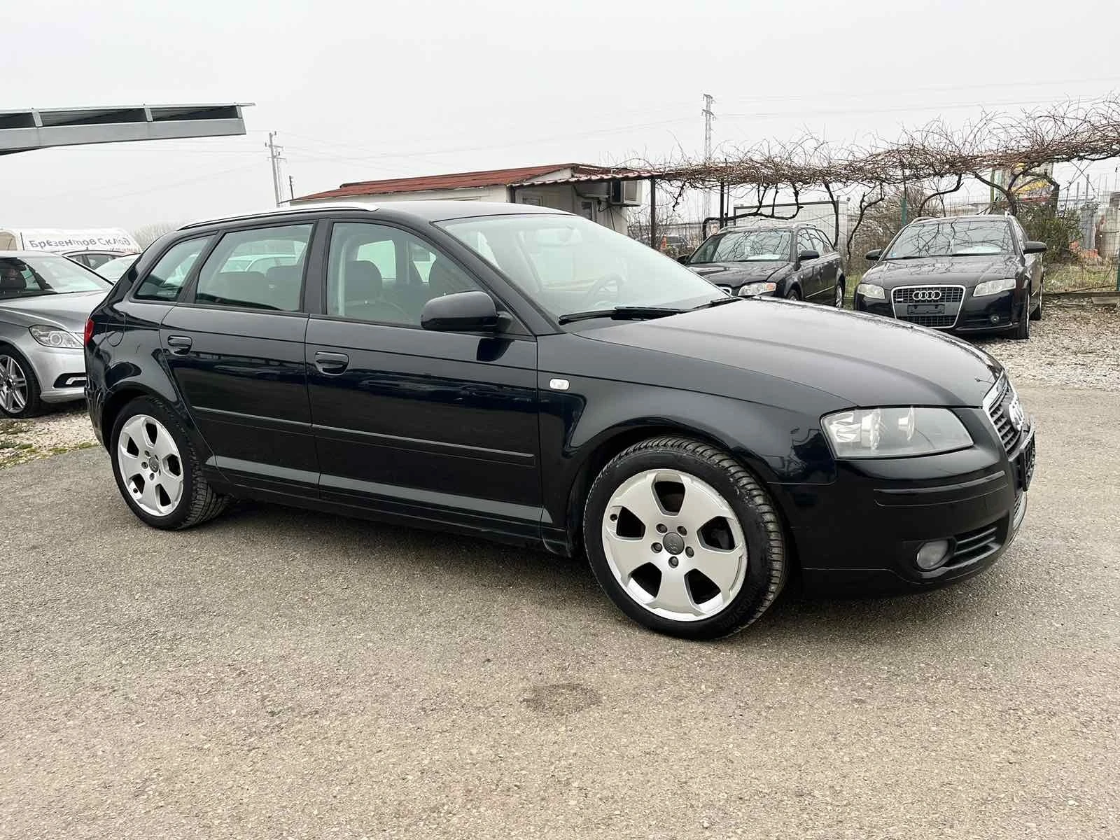 Audi A3 1.9TDI КОЖА NAVI Individual SpotBack - изображение 4