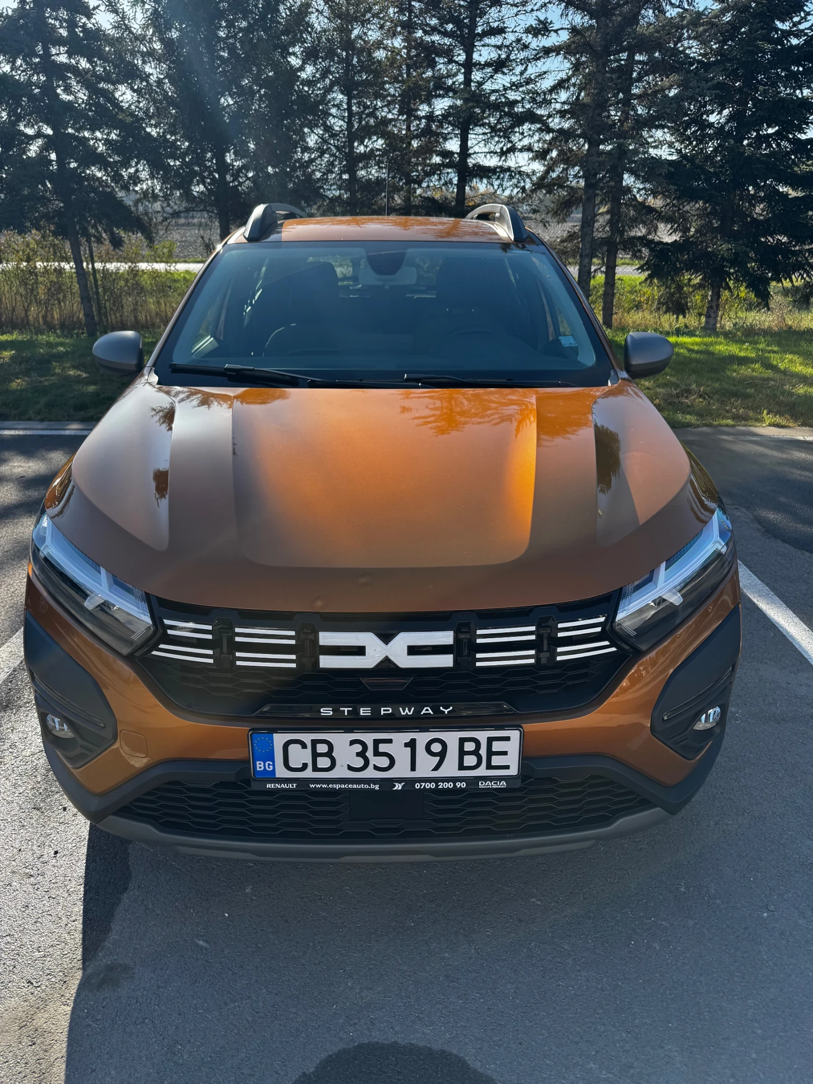 Dacia Sandero Stepway | Mobile.bg   1