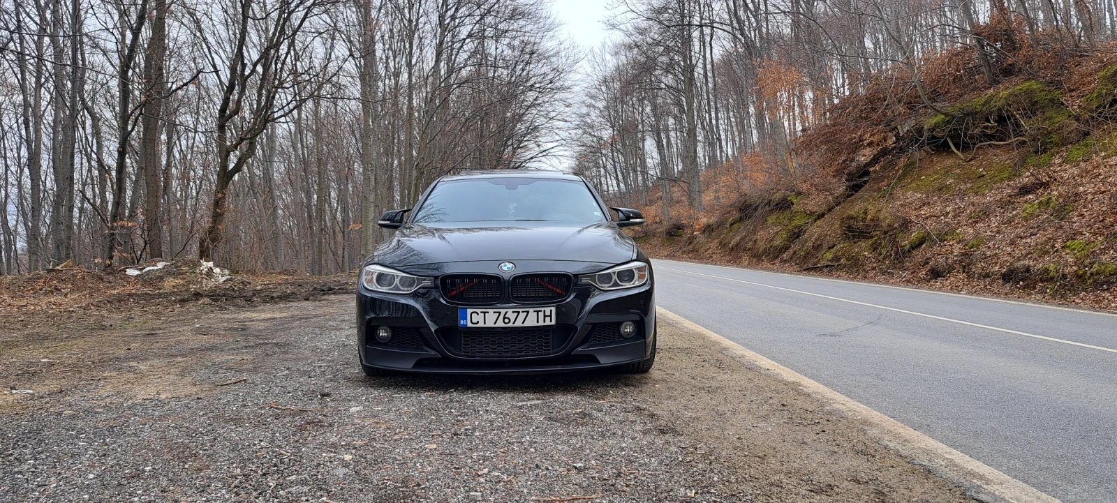 BMW 335 Active hybrid 3 , снимка 8 - Автомобили и джипове - 54093707