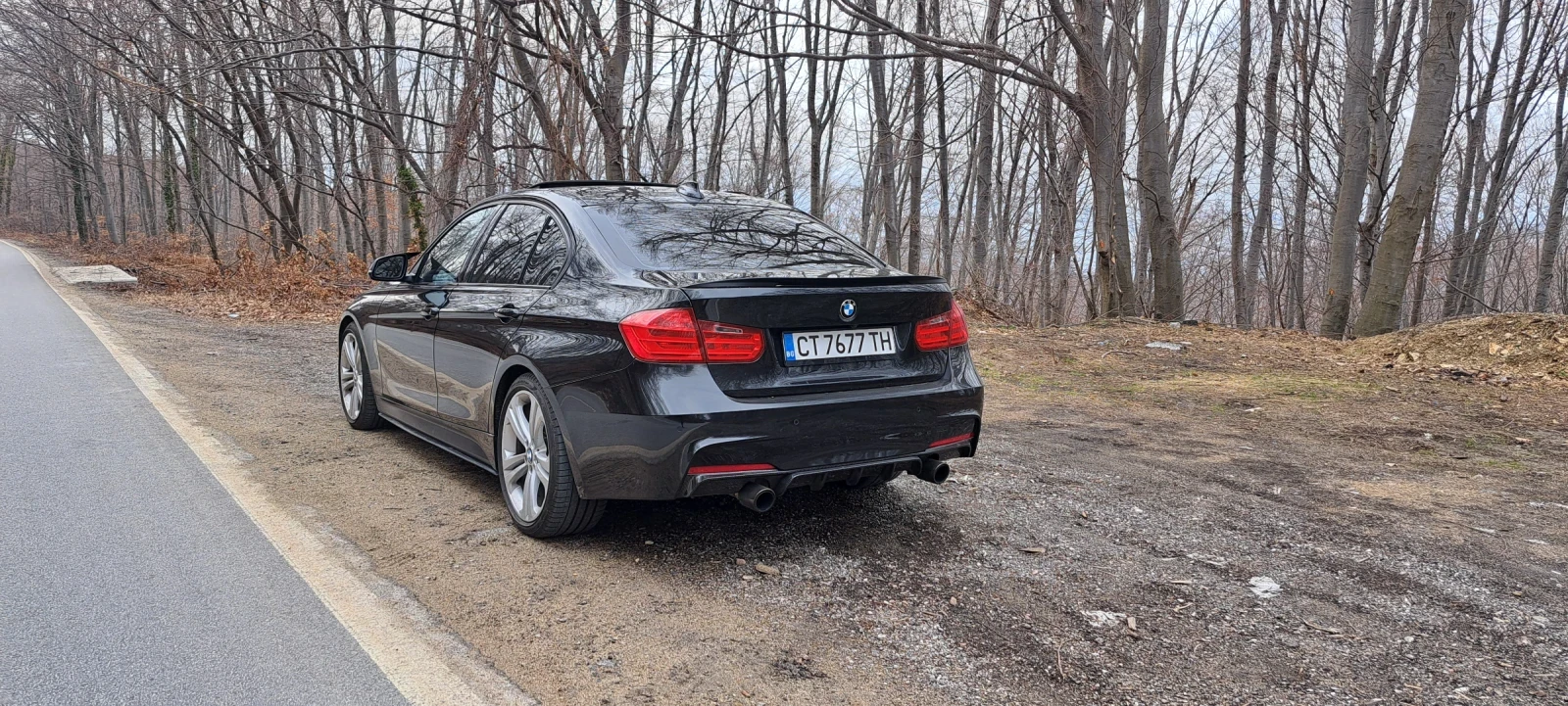 BMW 335 Active hybrid 3 , снимка 5 - Автомобили и джипове - 54093707