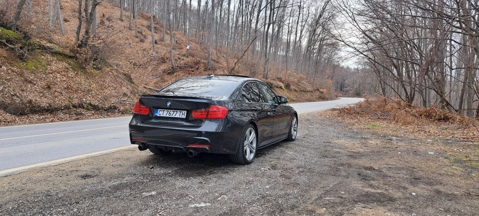 BMW 335 Active hybrid 3 , снимка 3 - Автомобили и джипове - 54093707