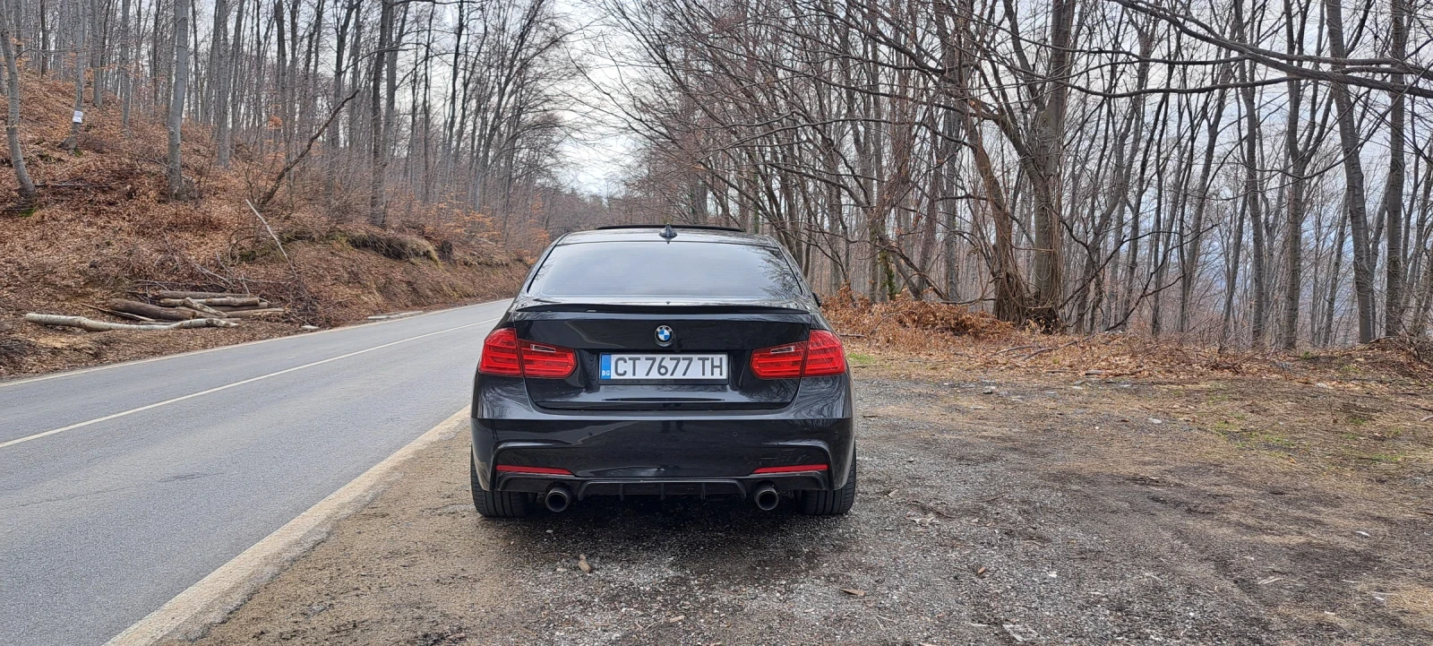 BMW 335 Active hybrid 3 , снимка 4 - Автомобили и джипове - 54093707