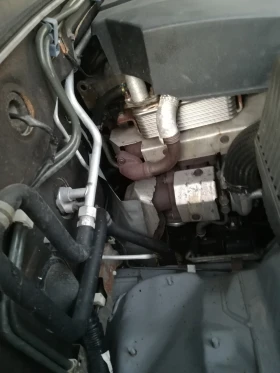 Mitsubishi Pajero 44 -3 | Mobile.bg    9