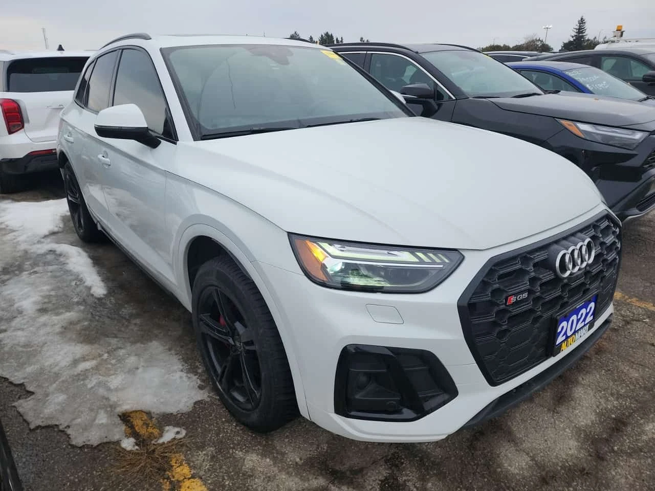 Audi SQ5 TECHNIK B&O CARFAX, снимка 2 - Автомобили и джипове - 53760037