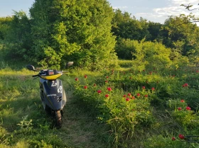 Honda Dio, снимка 1