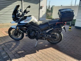  Triumph Tiger