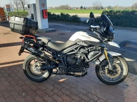 Triumph Tiger   | Mobile.bg    2