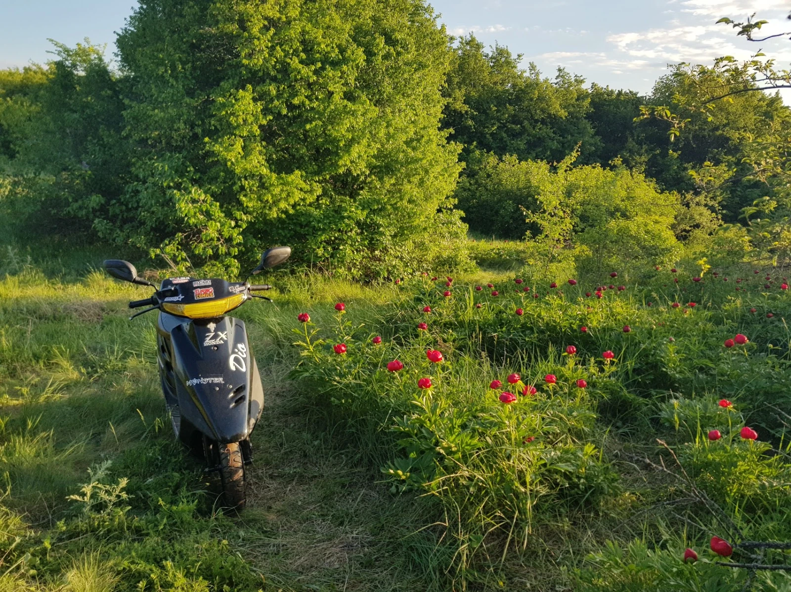 Honda Dio