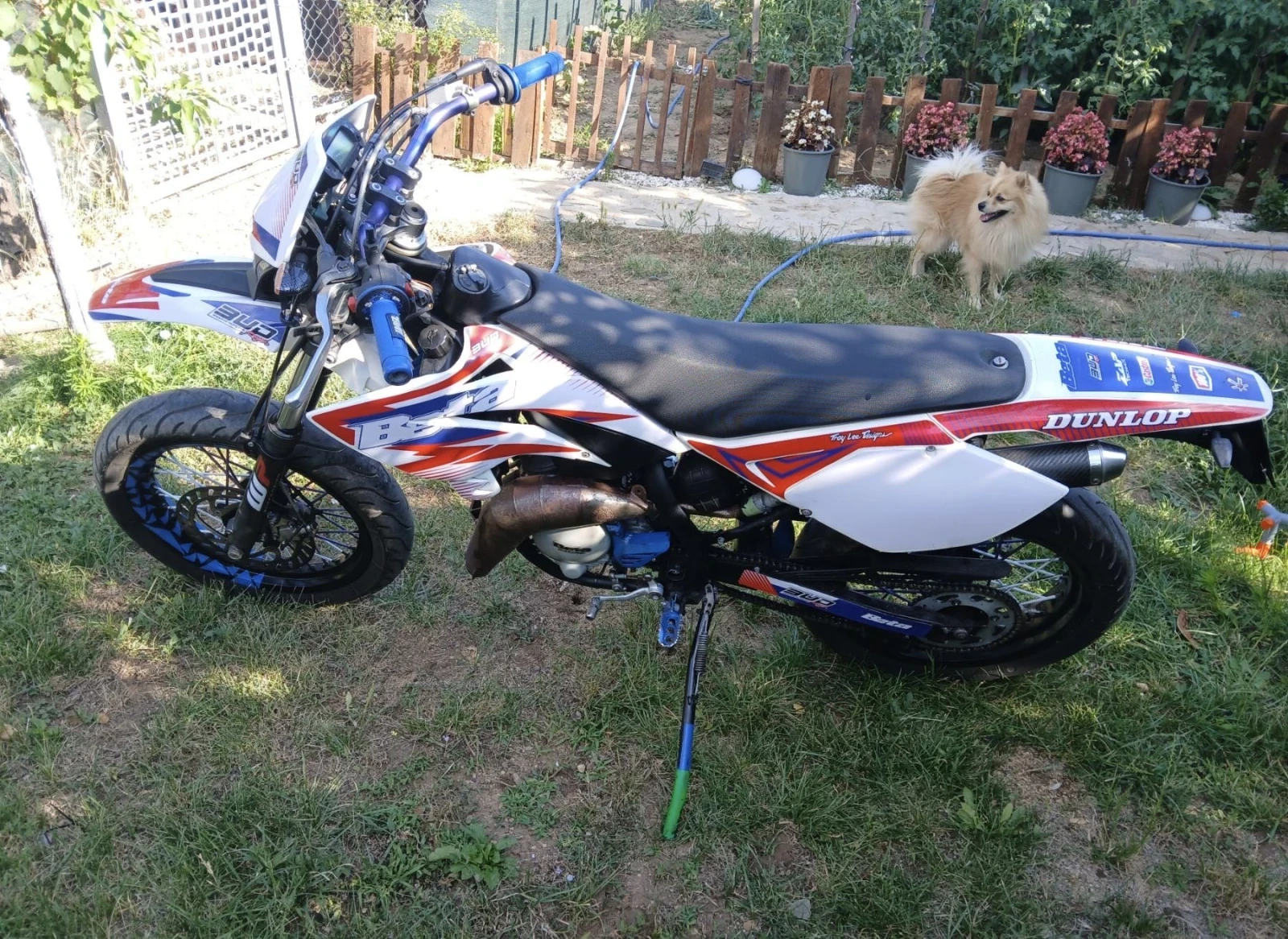 Beta Rr 50 - изображение 4