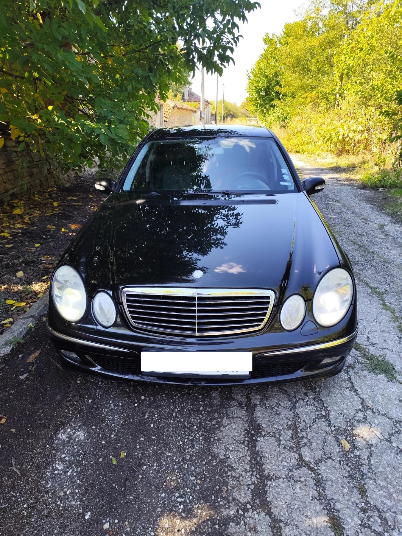 Mercedes-Benz E 220 | Mobile.bg   1