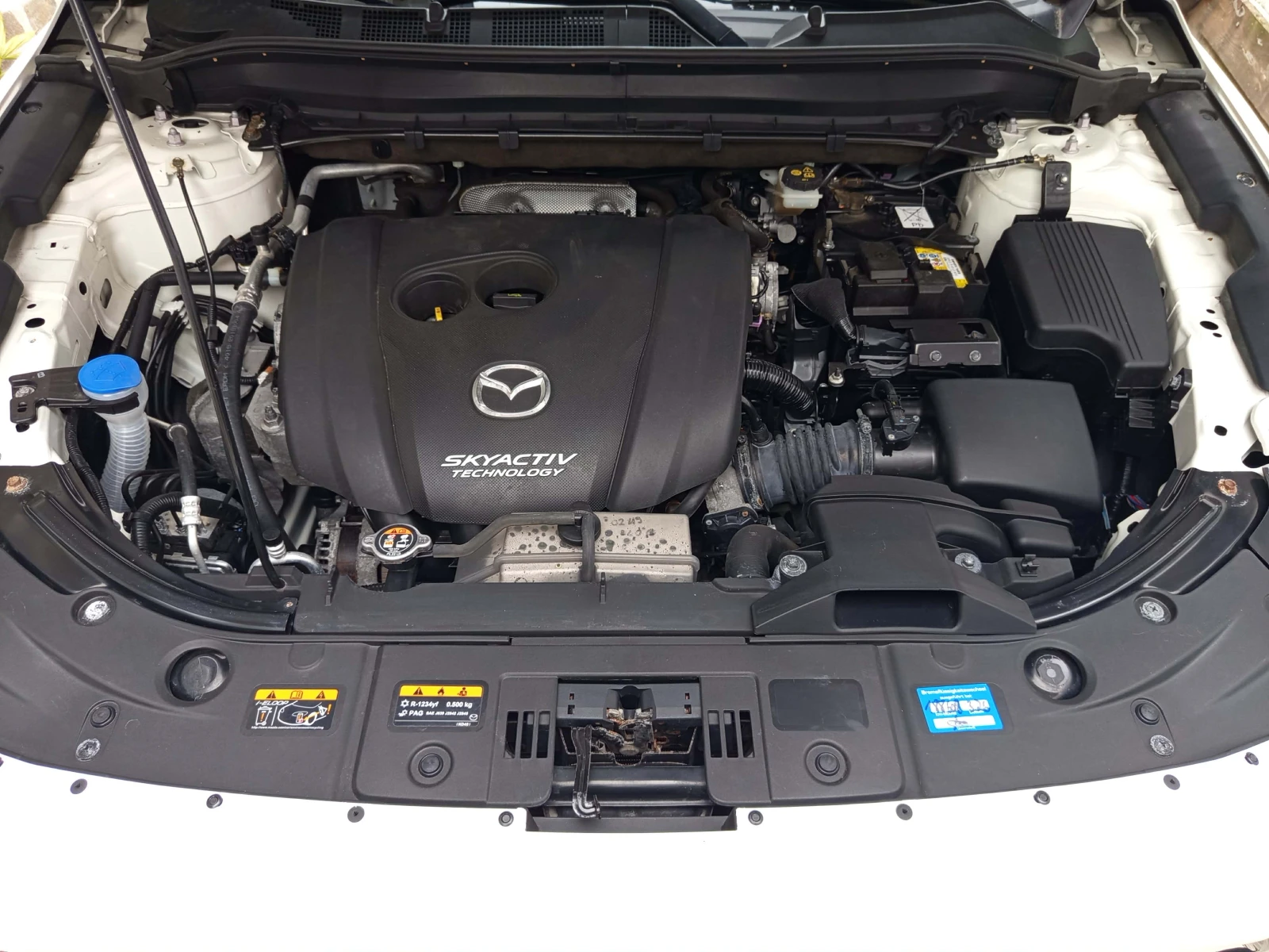 Mazda CX-5 2.5 4x4 360 камера Germany TUV 2028, снимка 15 - Автомобили и джипове - 53927688