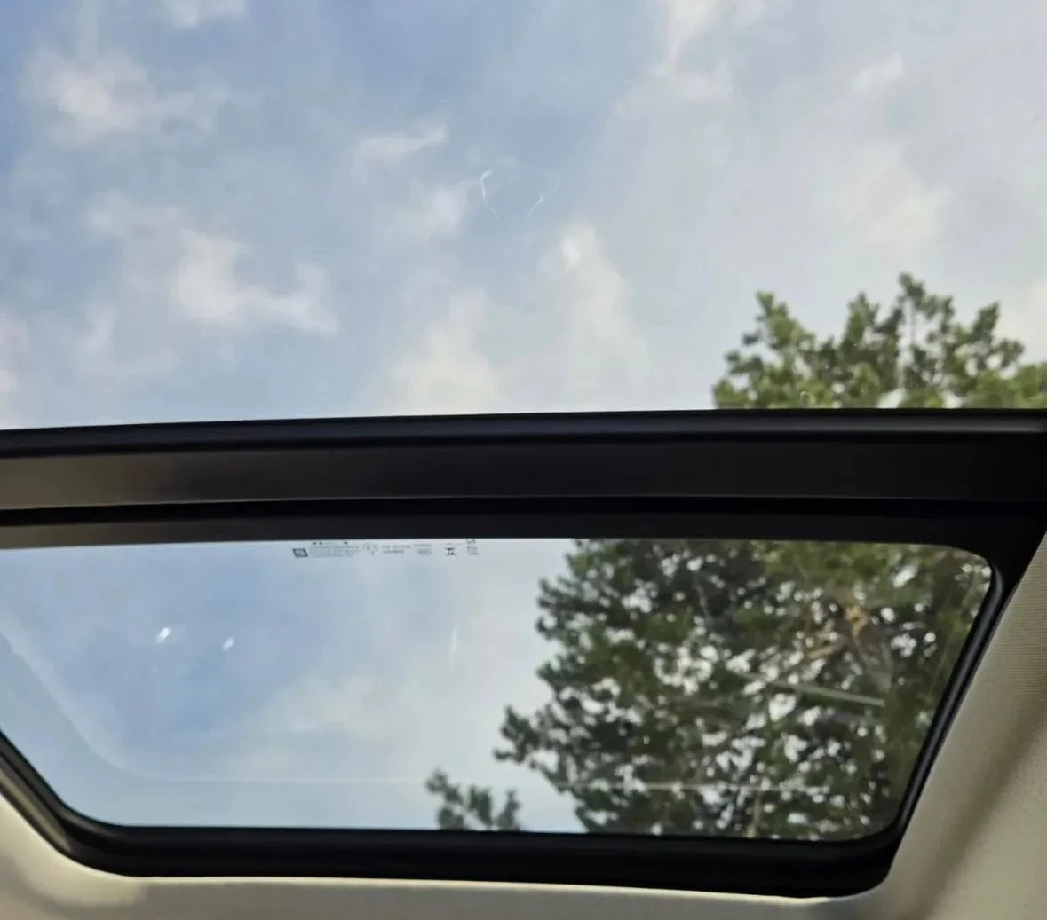 Chevrolet Bolt EVU - изображение 6