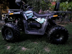     200cc  Coleman Powersports | Mobile.bg    6