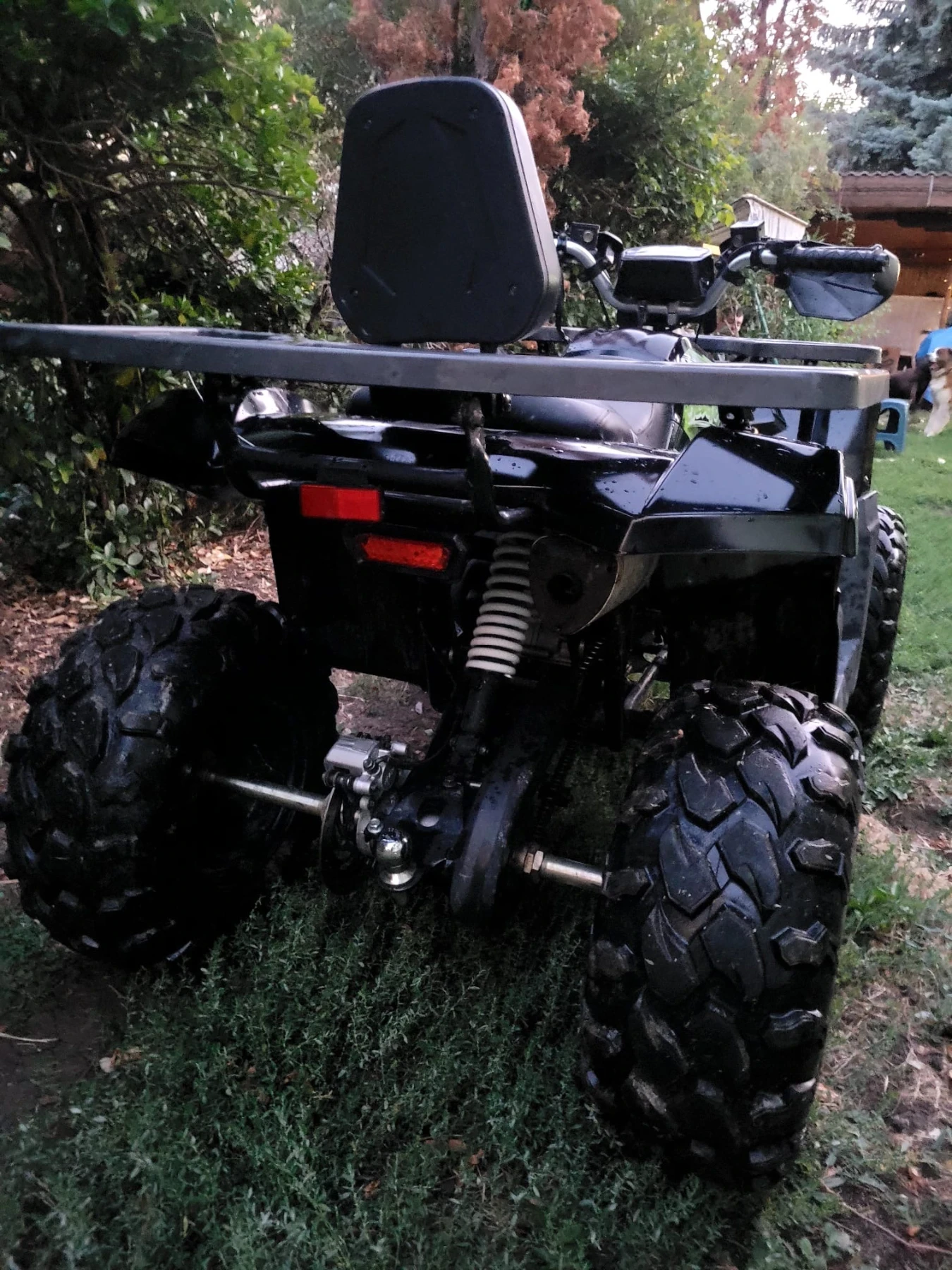 Поръчкови Други Продавам двуместно АТВ 200cc  Coleman Powersports - изображение 5