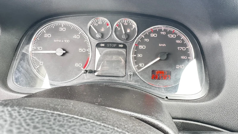 Peugeot 307 1.6 HDI ИТАЛИЯ ПАНОРАМА, снимка 8 - Автомобили и джипове - 53098231
