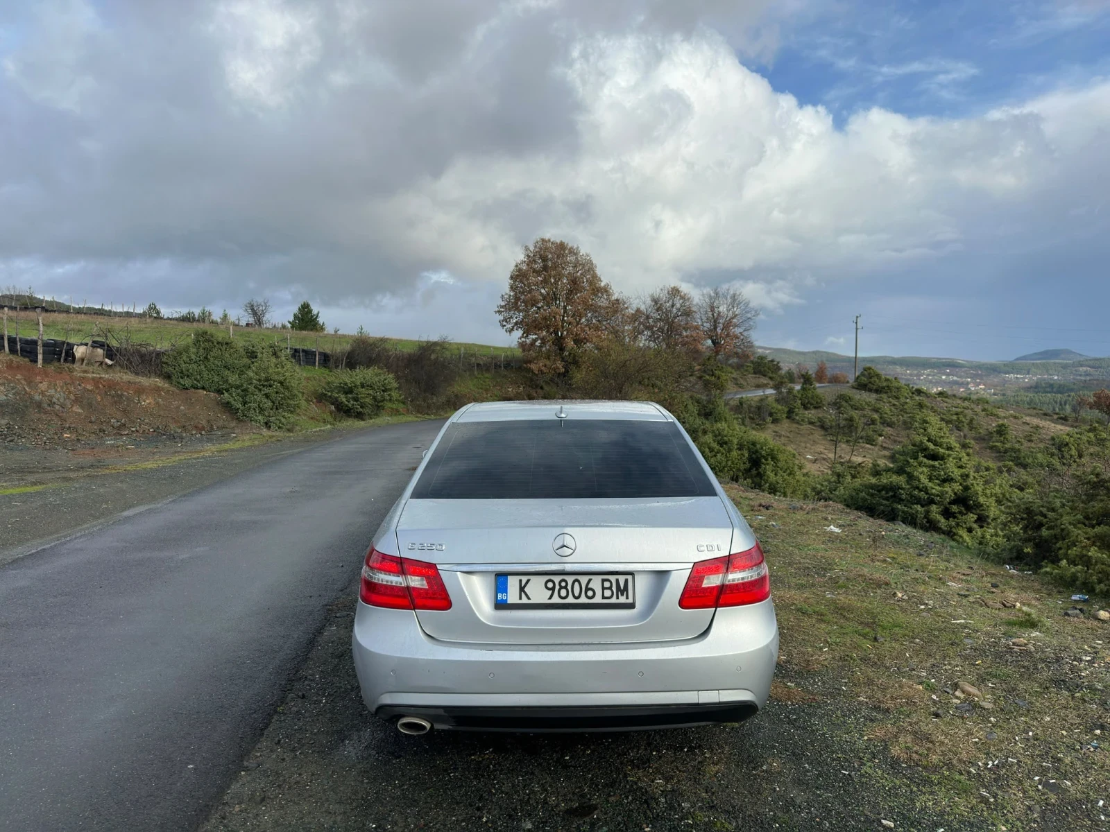 Mercedes-Benz E 250 CDI - AMG Avantgarde, снимка 5 - Автомобили и джипове - 55640462