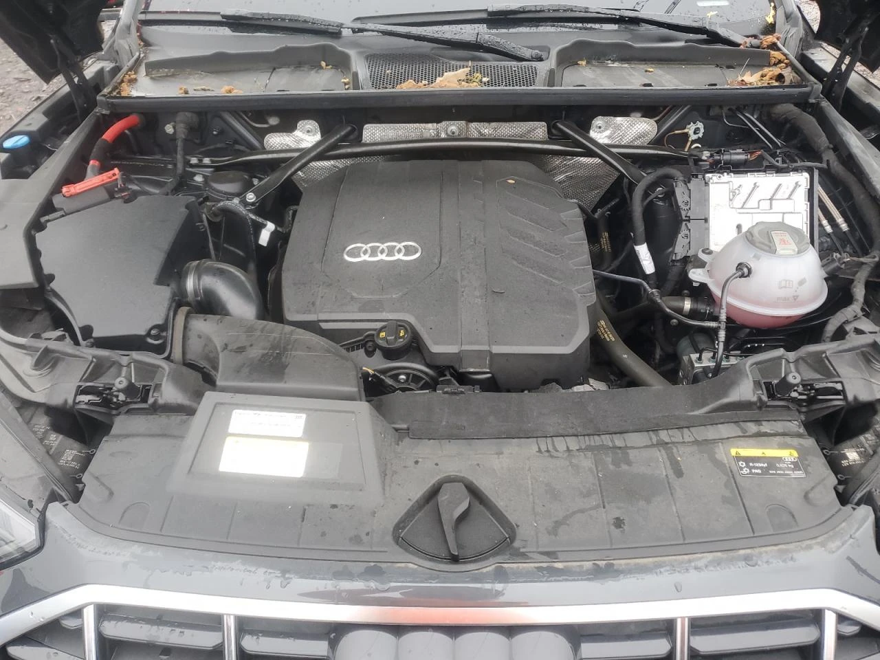 Audi Q5 2l Premium Plus | Mobile.bg � ����������� 12