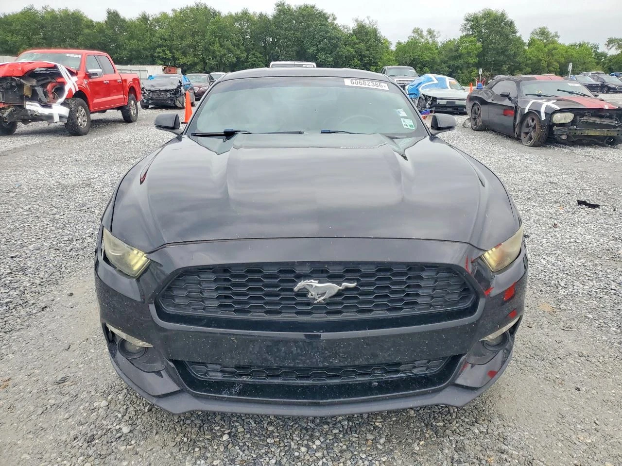 Ford Mustang 2.3l, снимка 5 - Автомобили и джипове - 55681168