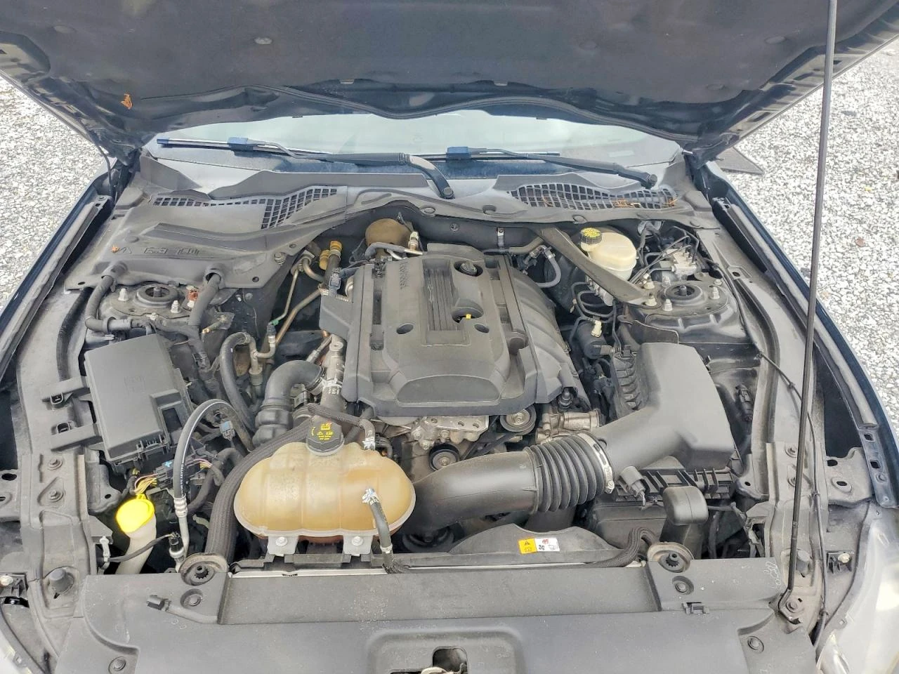 Ford Mustang 2.3l, снимка 11 - Автомобили и джипове - 55681168