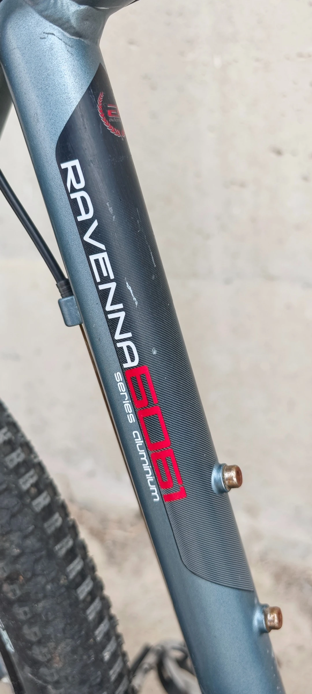  ADORE RAVENNA  | Mobile.bg   3