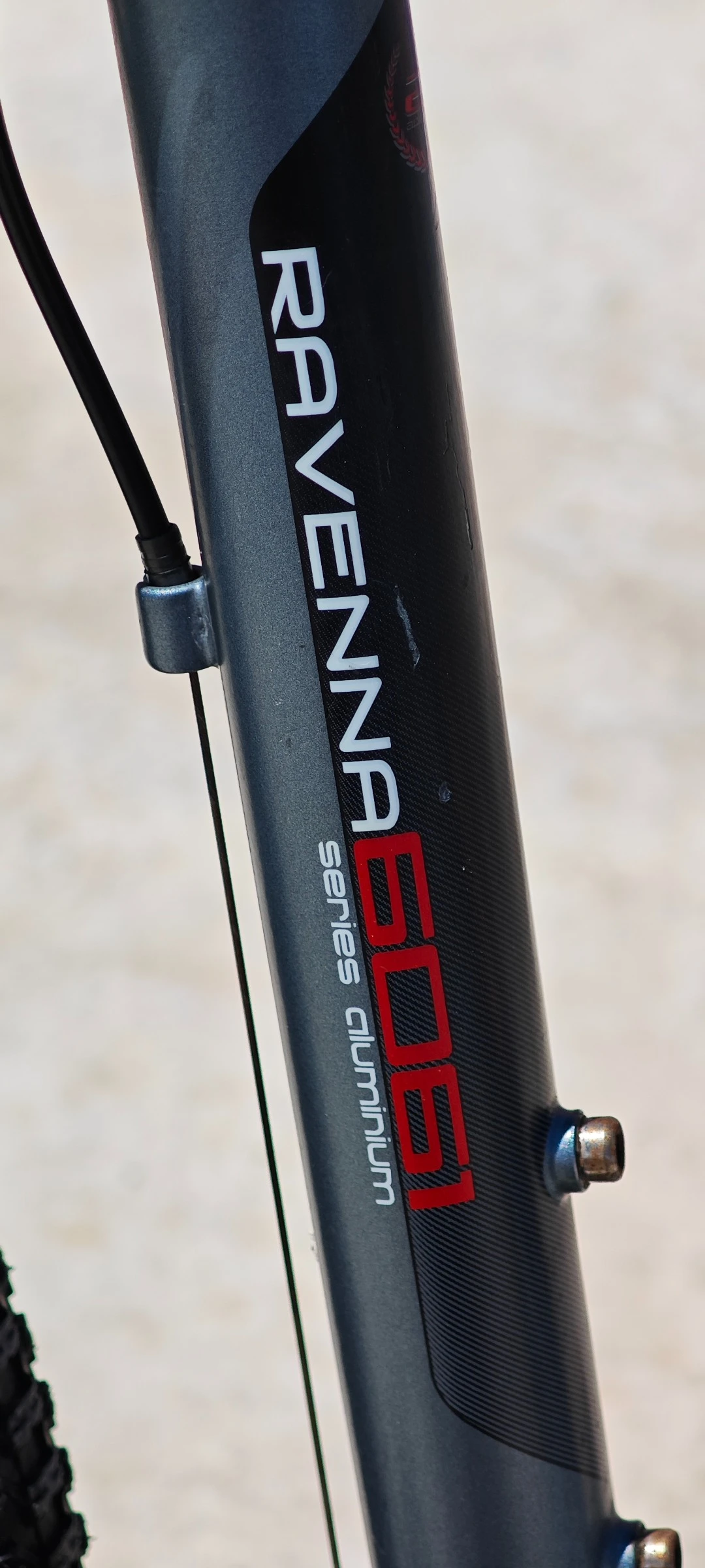  ADORE RAVENNA  | Mobile.bg   6